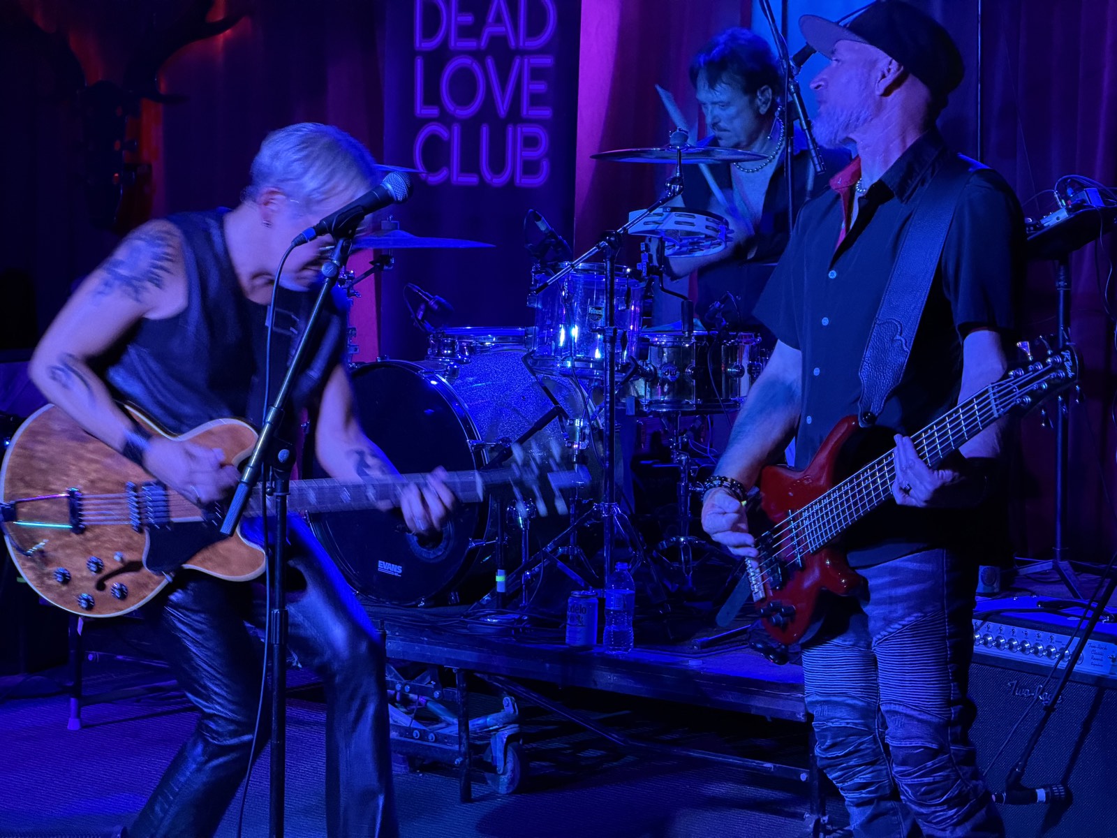 Rik Avalos Band live at Buck's Backyard